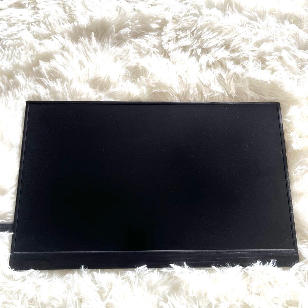 cocopar 17.3インチ フルHD モバイルディスプレイ 非光沢 カバー付
